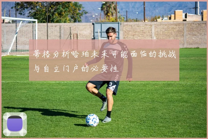 蒂格分析哈珀未来可能面临的挑战与自立门户的必要性