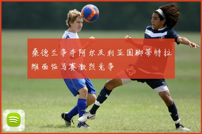 桑德兰争夺阿尔及利亚国脚蒂特拉维面临马赛激烈竞争